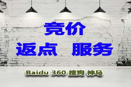 SEM代理服务：案例对比，效果哪家更胜一筹